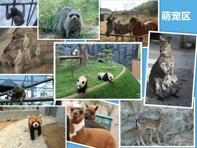 快乐吸氧日 春游五龙山